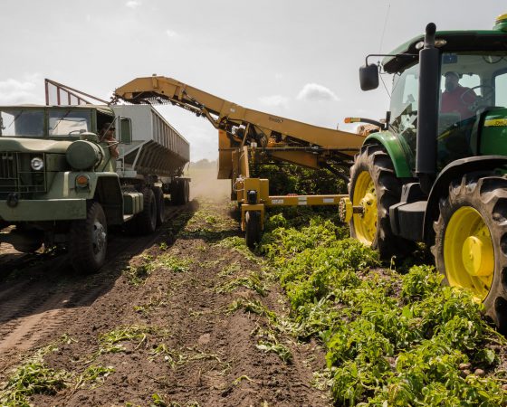 BINARIUM AGROINDUSTRIAL